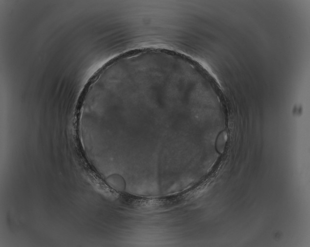 X0000091240879200708231715