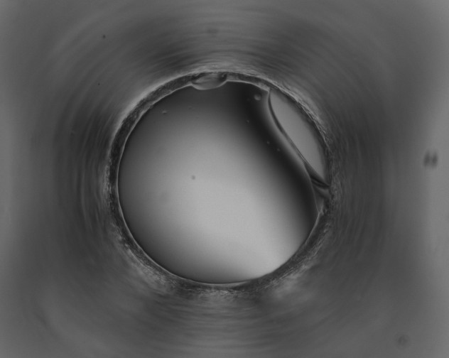 X0000091240880200708231715