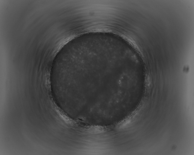 X0000091240881200708231715