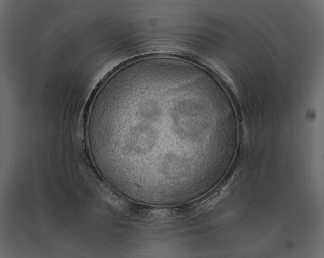 X0000091240883200708231715
