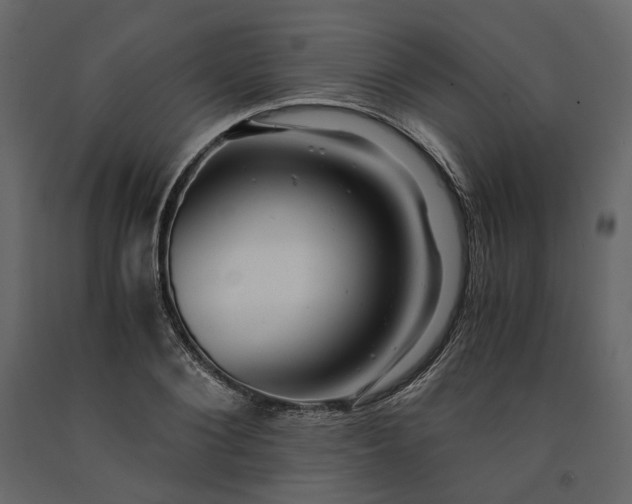 X0000091240884200708231715