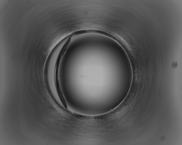 X0000091240885200708231715