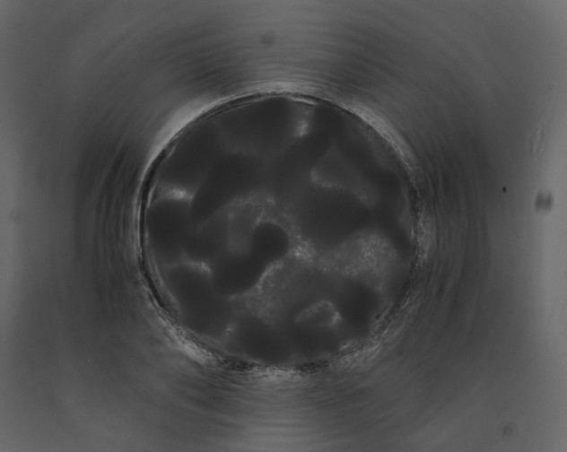 X0000091240886200708231715