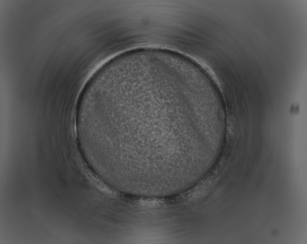 X0000091240887200708231715