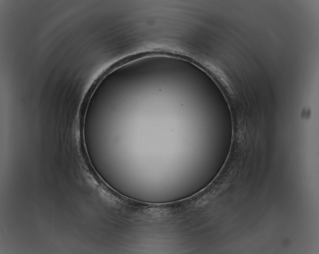 X0000091240888200708231714