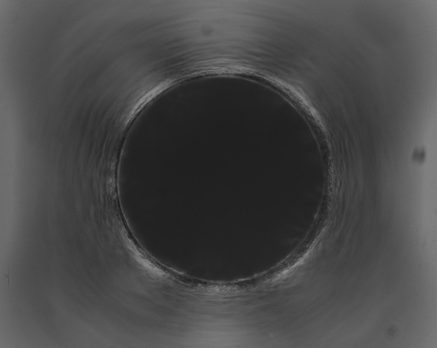 X0000091240889200708231714