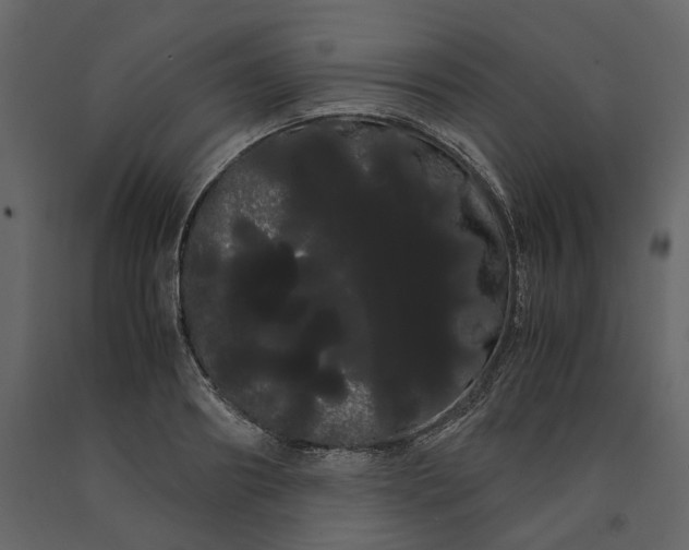 X0000091240890200708231714