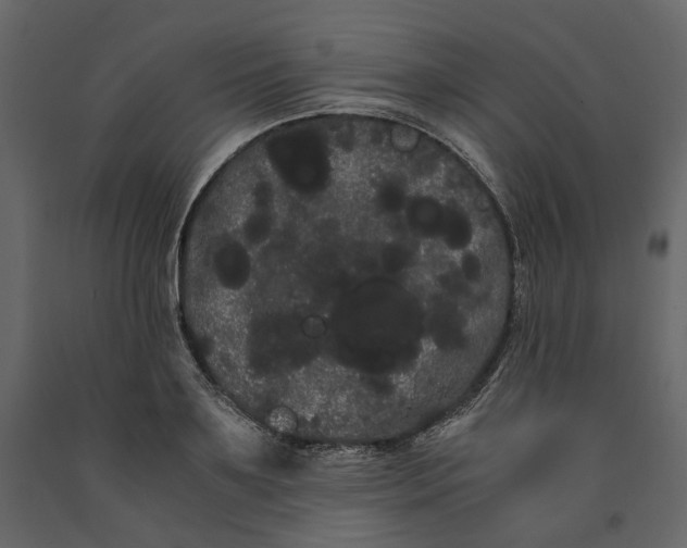 X0000091240891200708231714