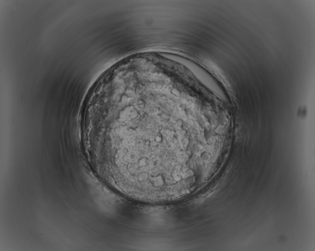 X0000091240892200708231714