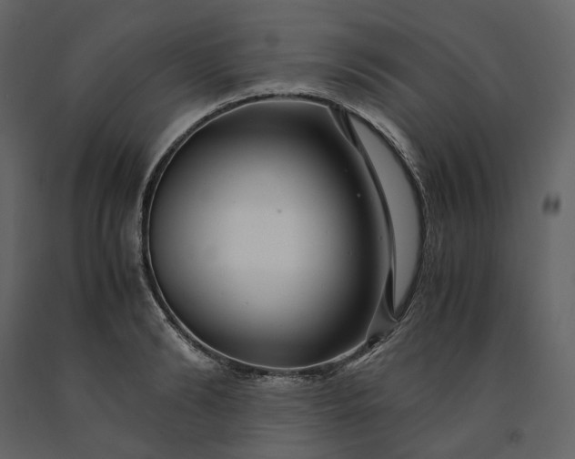 X0000091240894200708231714
