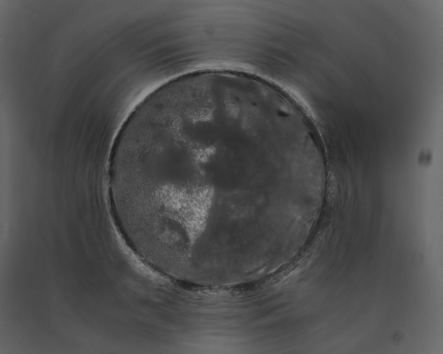 X0000091240895200708231714