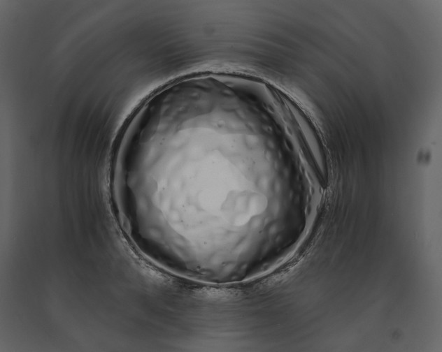 X0000091240896200708231714