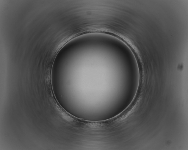 X0000091240897200708231714