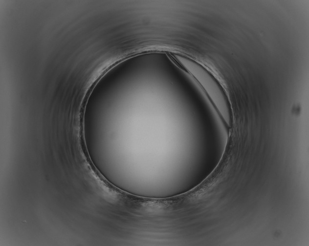 X0000091240898200708231714