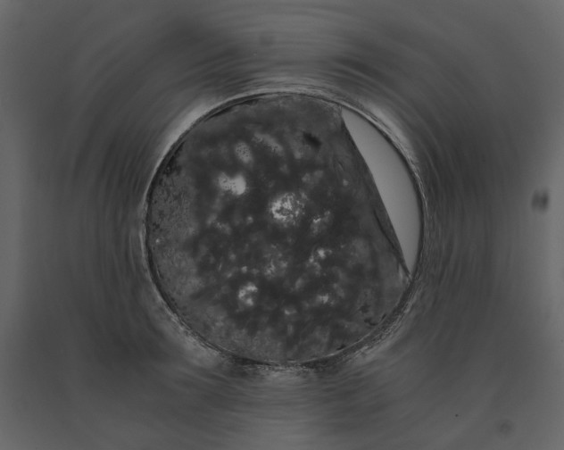 X0000091240899200708231714