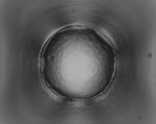 X0000091240900200708231714