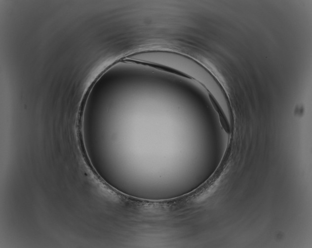 X0000091240901200708231714