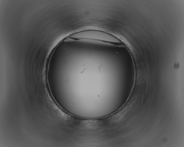 X0000091240902200708231714