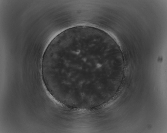 X0000091240903200708231714