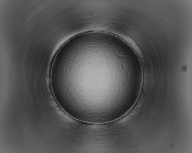 X0000091240904200708231714