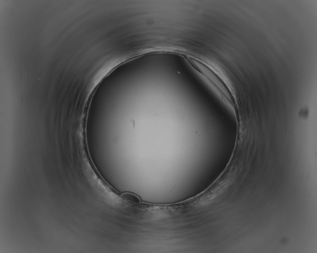 X0000091240906200708231714