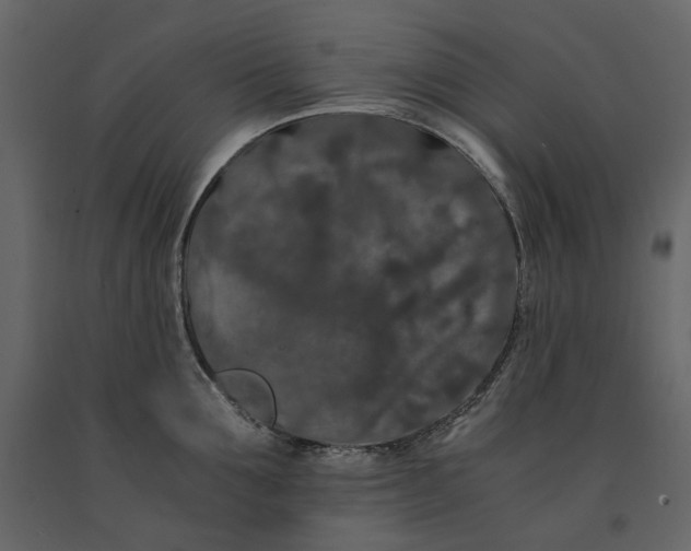 X0000091240907200708231714