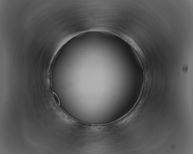 X0000091240908200708231714