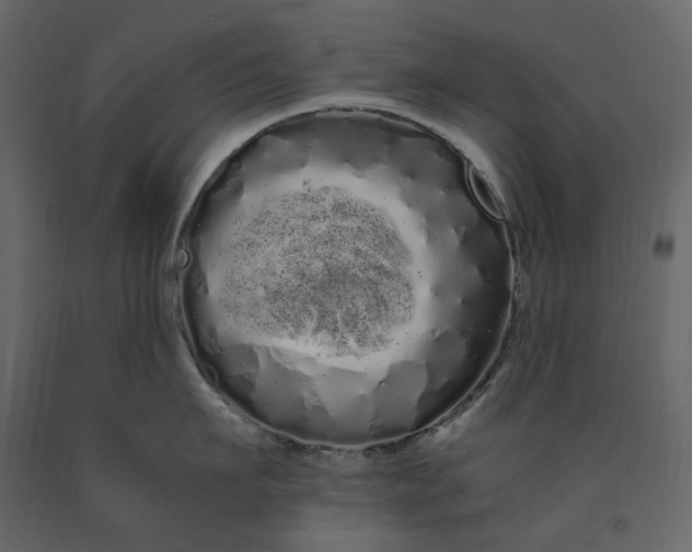 X0000091240911200708231714