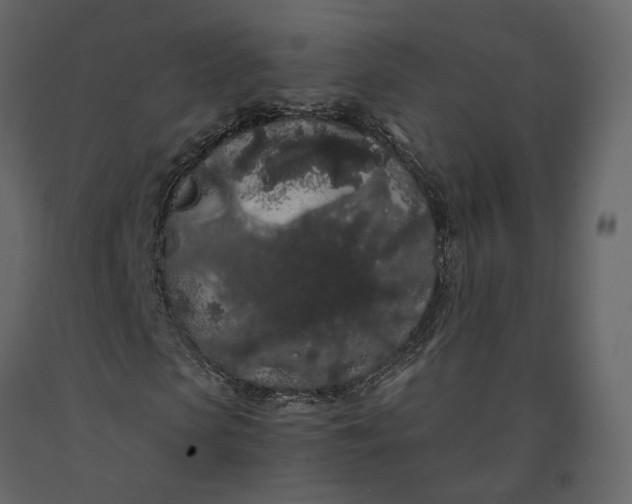 X0000091240913200708231713