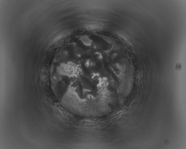 X0000091240917200708231714