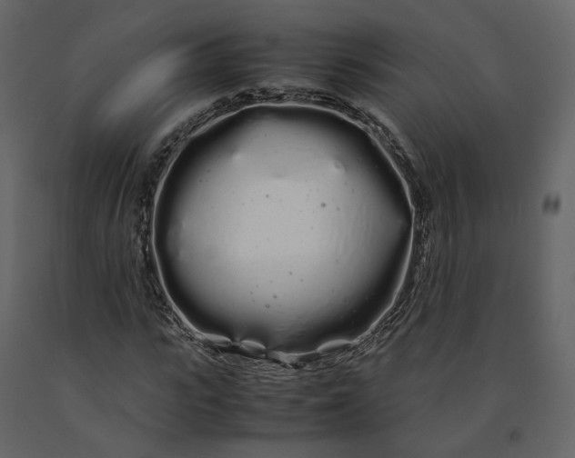 X0000091240919200708231714