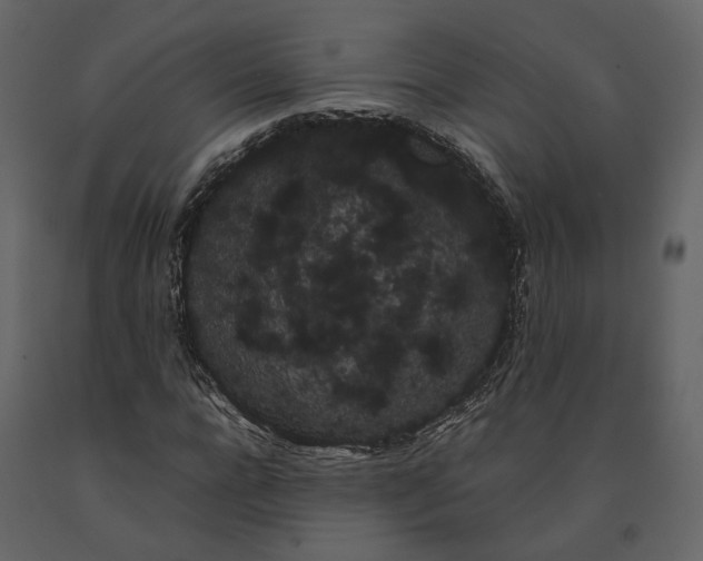 X0000091240920200708231714