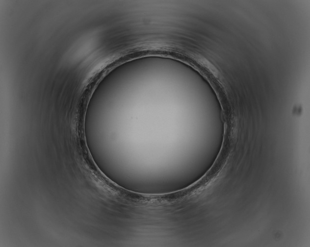 X0000091240922200708231714