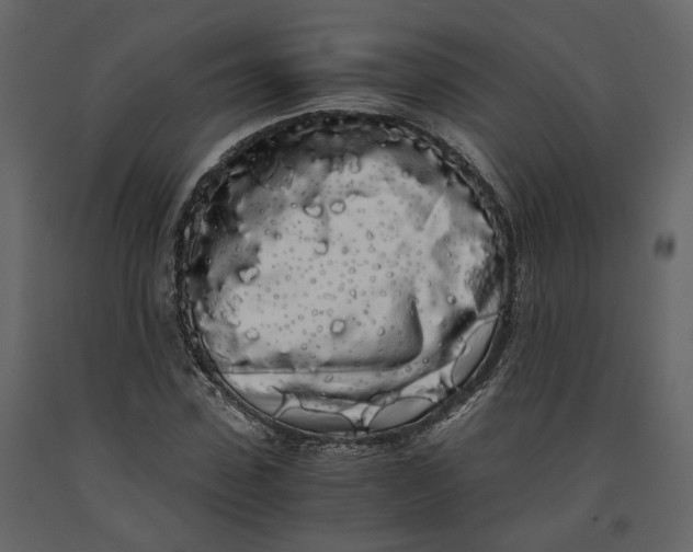 X0000091240923200708231714