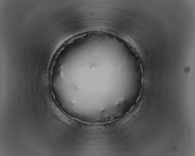 X0000091240924200708231714