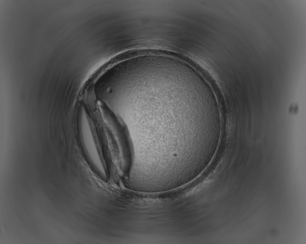 X0000091240925200708231714