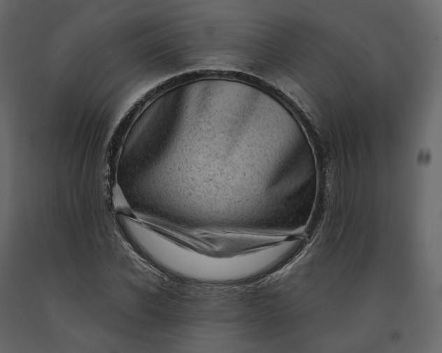 X0000091240926200708231714