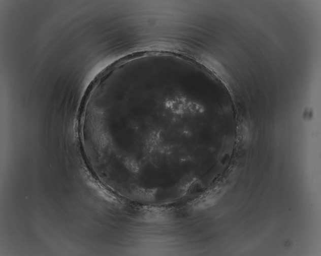 X0000091240928200708231714