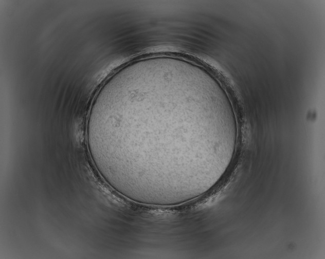 X0000091240929200708231714