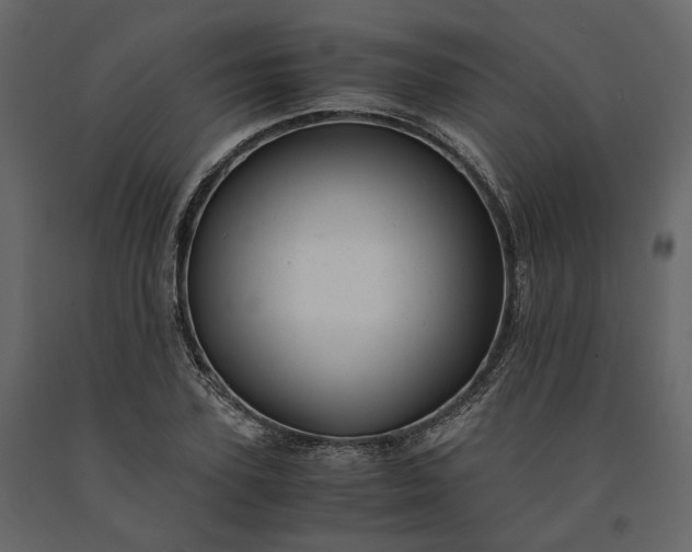 X0000091240931200708231714