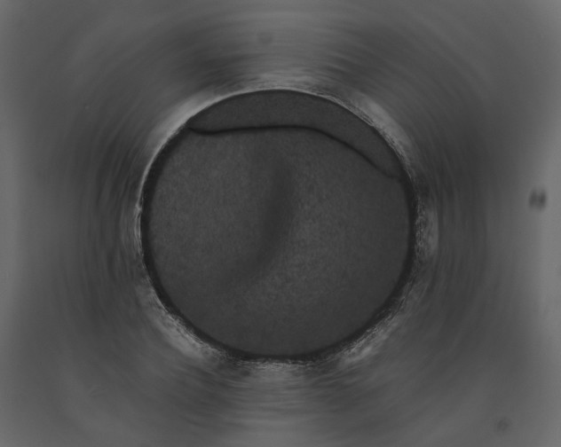 X0000091240932200708231714