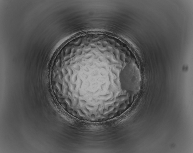 X0000091240933200708231714