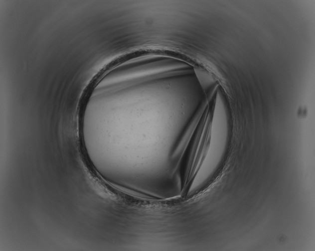 X0000091240934200708231714