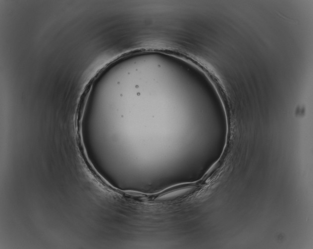 X0000091240935200708231714