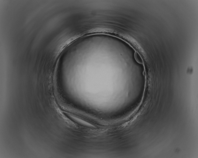 X0000091240937200708231714