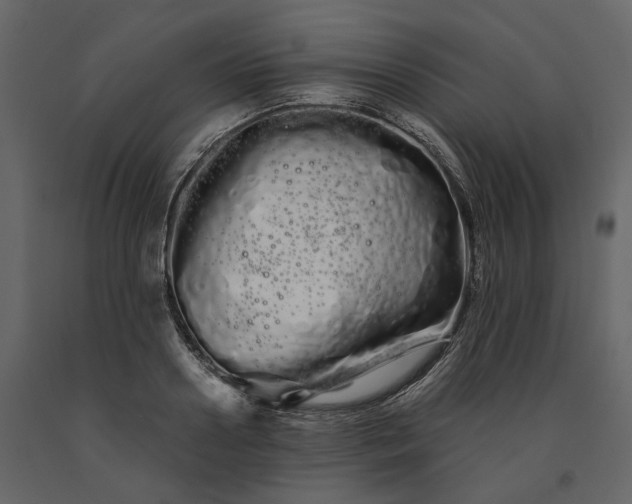 X0000091240938200708231714
