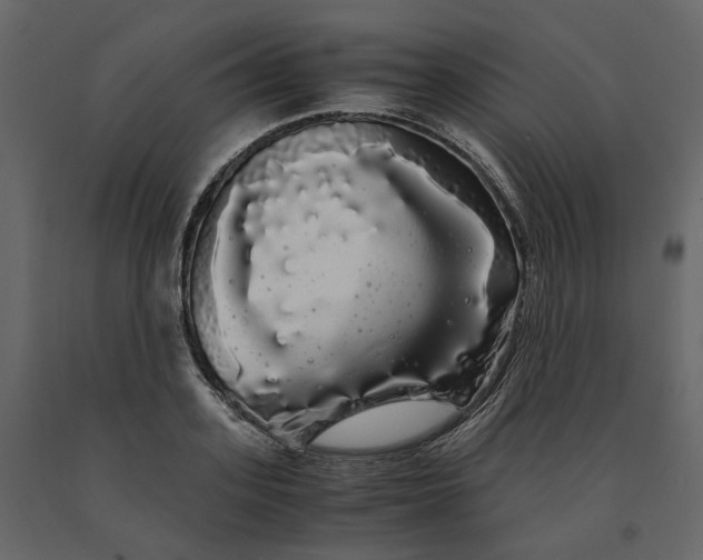 X0000091240939200708231714