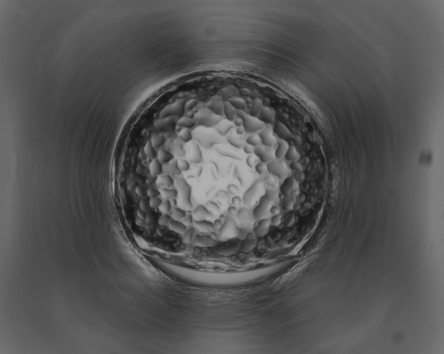 X0000091240940200708231714