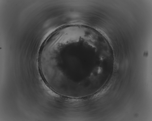 X0000091240941200708231714