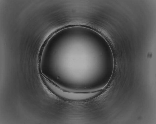X0000091240942200708231714